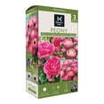 thumbnail image 1 of Member's Mark Peonies Bowl of Beauty & Margaret Truman Dormant Bulbs, 3pk, 1 of 10