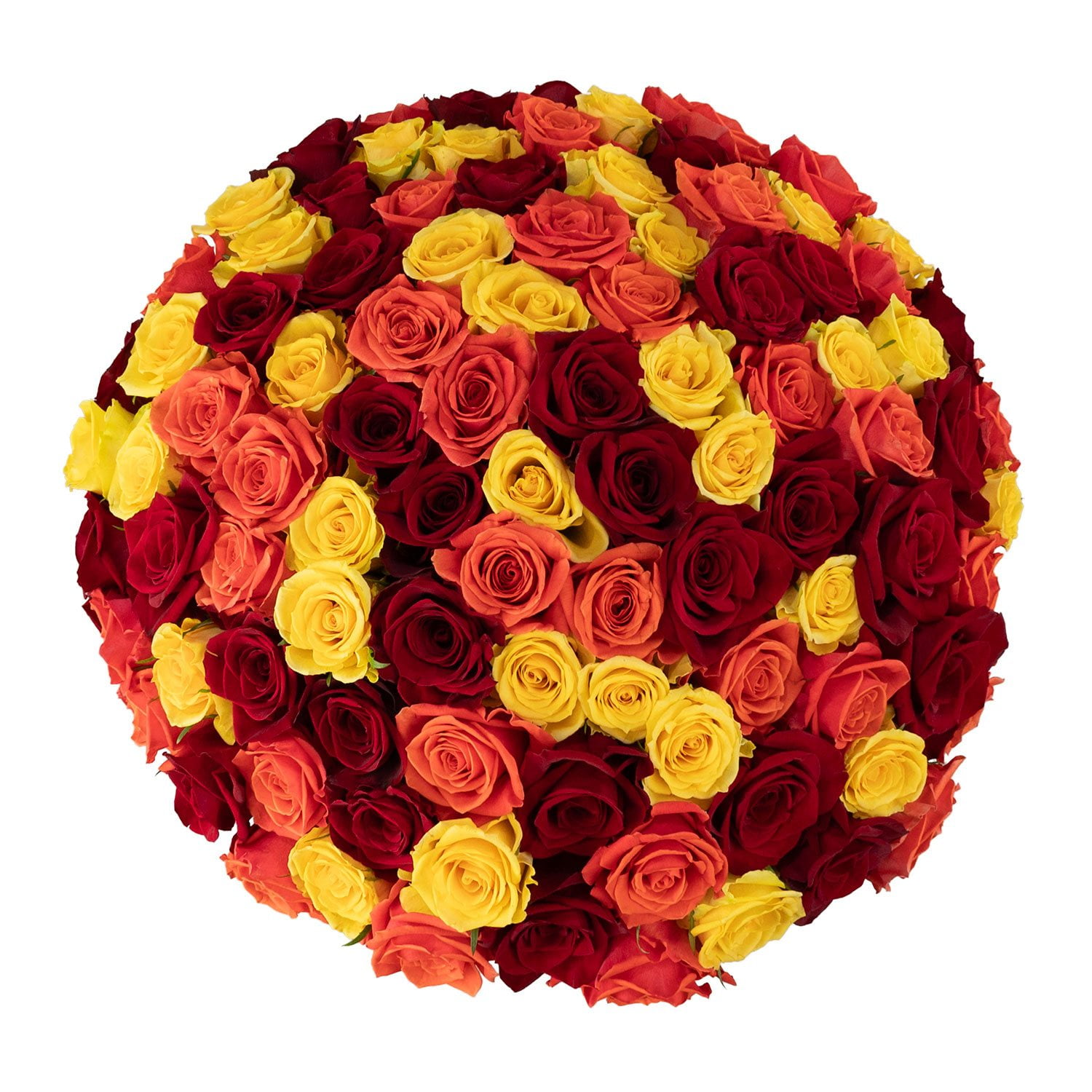 Member's Mark Rose Vase Arrangement, 100 stems, choose color