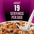 thumbnail image 3 of Raisin Bran Protein Breakfast Cereal, 41.2 oz., 3 of 9