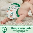 thumbnail image 7 of Member's Mark Premium Baby Diapers, Sizes Newborn - 7, 7 of 10