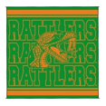 thumbnail image 1 of Logo Brands Florida A&M Rattlers 106"x106" Rally Mat, 1 of 8