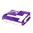 thumbnail image 5 of Logo Brands Benedict Tigers 60"x70" Super Plush Blanket, 5 of 6