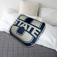 thumbnail image 2 of Logo Brands Utah State Aggies XL Puff Pillow, 2 of 5