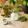 thumbnail image 3 of Modern Sprout Gardening Shears and Glass Plant Mister Set, Assorted Colors, 3 of 5