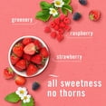 thumbnail image 7 of Febreze Plug Air Freshener, Gain Original + Berry & Bramble, 5 refills, 4.35 fl. oz., 7 of 10