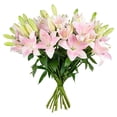 thumbnail image 2 of Member's Mark LA Hybrid Lilies, choose color and stem count, 2 of 8