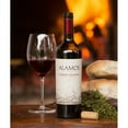 thumbnail image 1 of Alamos Cabernet Sauvignon Wine, 750 ml, 1 of 1