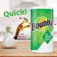 thumbnail image 9 of Bounty Paper Towels, White, 12 Rolls = 30 Regular Rolls, 9 of 9