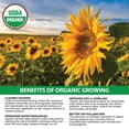 thumbnail image 5 of Member's Mark Organic Multivitamin Vegan Capsules, 120 ct., 5 of 6