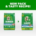 thumbnail image 2 of IAMS Proactive Health Large Breed Chicken Recipe Adult Dry Dog Food, Multi-sizes, 2 of 4