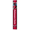 thumbnail image 1 of HBCU 8" x 60" Reversible Porch Greeter Sign, Choose Team, 1 of 5