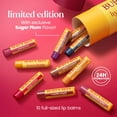 thumbnail image 3 of Burt's Bees Moisturizing Lip Balm Mega Balm Holiday Gift Pack, 10 tubes, 3 of 8