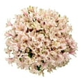 thumbnail image 1 of Member's Mark Alstroemeria, Choose color and stem count, 1 of 1