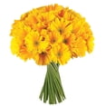 thumbnail image 2 of Member's Mark Gerbera Daisies, choose color and stem count, 2 of 8