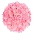 thumbnail image 1 of Member's Mark Painted Mums,  choose color and stem count, 1 of 4