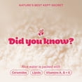 thumbnail image 9 of The Face Shop Rice Water Bright Cleansing Heroes Set, 9 of 10