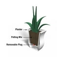 thumbnail image 5 of Mayne Valencia 16" Square Planter, 5 of 8