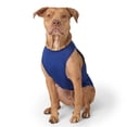 thumbnail image 7 of Free Country Americana Doggy 2-Pack Tees, 7 of 14