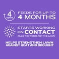 thumbnail image 4 of Member's Mark Southern Weed & Feed 12M, 4 of 5