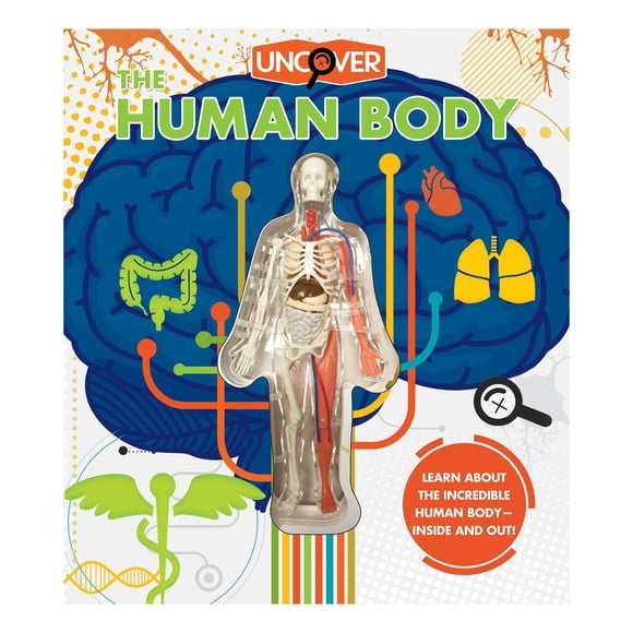 Uncover the Human Body, Hardcover