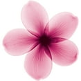 thumbnail image 3 of L'Oreal Paris EverPure Sulfate-Free Moisture Conditioner, 28 fl. oz., 3 of 6