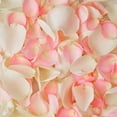 thumbnail image 1 of Member's Mark Fresh Rose Petals, 3000 ct., Choose color variety, 1 of 1