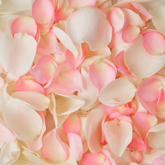 Member's Mark Fresh Rose Petals, 3000 ct., Choose color variety