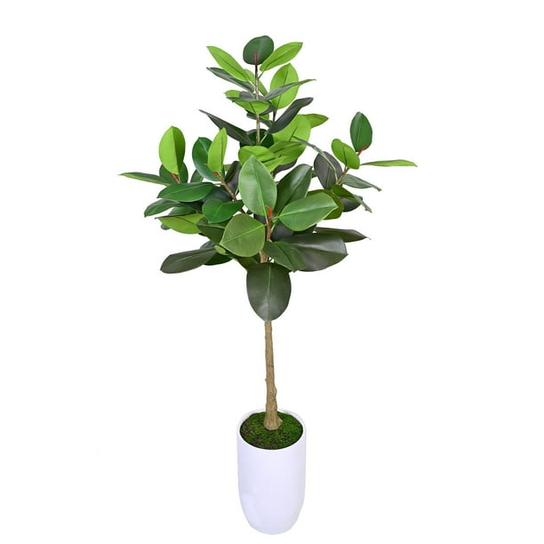 philodendron images Pink Princess Philodendron – Philodendron erubescens main image 1