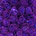 thumbnail image 5 of Member's Mark Farm Fresh Velvet Roses, choose color and stem count, 5 of 9