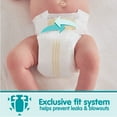 thumbnail image 4 of Member's Mark Premium Baby Diapers, Sizes Newborn - 7, 4 of 10