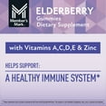 thumbnail image 5 of Member's Mark Elderberry Immune Health Gummies, 150 ct., 5 of 10