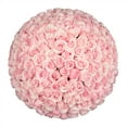 thumbnail image 1 of Member's Mark Ecuadorian Premium Roses, choose color variety and stem count, 1 of 6