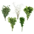 thumbnail image 1 of Member's Mark California Greens Sampler (10 bunches), 1 of 12