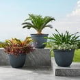 thumbnail image 3 of Member's Mark 14.5" Theo Planter, Set of 3, 3 of 9