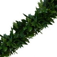 thumbnail image 1 of Member's Mark Garland, Cocculus & Italian Ruscus, Choose length, 1 of 1