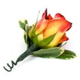 thumbnail image 2 of Member's Mark Wedding Collection Bridesmaid Bouquets, choose color and quantity, 2 of 2