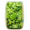 thumbnail image 2 of Hoja Lechuga Mixta Super Combo Spring Mix, 16 oz., 2 of 3