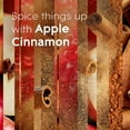 thumbnail image 5 of Glade PlugIns Scented Oil Refills, Apple Cinnamon, 9 refills, 5 of 10