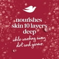 thumbnail image 5 of Dove Liquid Hand Wash Holiday Treats Variety Pack, 12 oz., 3pk., 5 of 14