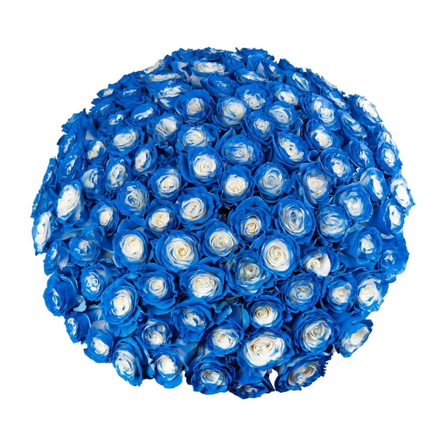 Member's Mark Illusion Roses, choose color and stem count:- 100, Blue