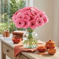 thumbnail image 7 of Member's Mark Gerbera Daisies, choose color and stem count, 7 of 8