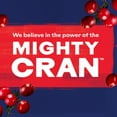 thumbnail image 4 of Ocean Spray Cranberry Cocktail Juice 96 oz., 2 pk., 4 of 5