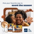 thumbnail image 7 of Glade PlugIns Scented Oil Air Freshener, Cozy Gingerbread, 4.02 fl. oz., 2 Warmers + 6 Refills, 7 of 8