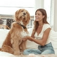 thumbnail image 7 of Jinx Brown Rice and Sweet Potato Recipe, Dry Dog Food, 23.5 lbs., 7 of 7
