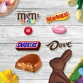 thumbnail image 5 of Mars Variety Pack, Easter Basket Builder Candy, 5 pcs., 5 of 8