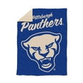 thumbnail image 1 of Logo Brands Pittsburgh Panthers Luxe Dreams Throw, 60" x 80", 1 of 6
