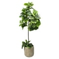 thumbnail image 1 of Faux 60" Fig Floor Plant in Roped Basket, 1 of 6