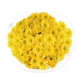 thumbnail image 2 of Member's Mark Euro Pom, color and variety may vary, 2 of 5