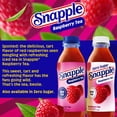 thumbnail image 9 of Snapple Tea Variety Pack, 16 fl. oz., 24 pk., 9 of 14
