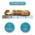 thumbnail image 3 of Canine Creations Orthopedic Foam Pillow Pet Bed, Choose Size & Color, 3 of 6